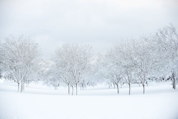 Winter Impression by Aurora Photos