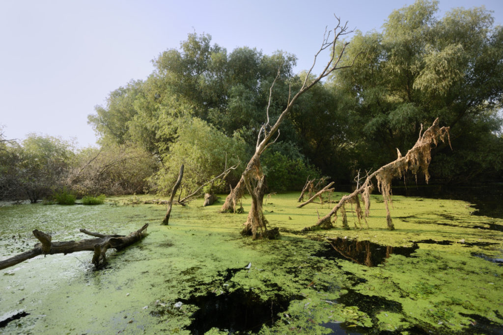 Danube Delta, Romania, Image Broker