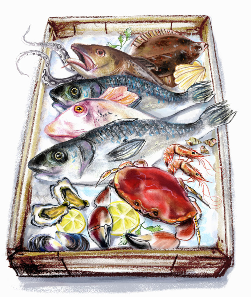 Illustration, Fisch, Meeresfrüchte, Krebs, Scholle, Muscheln, Auslage