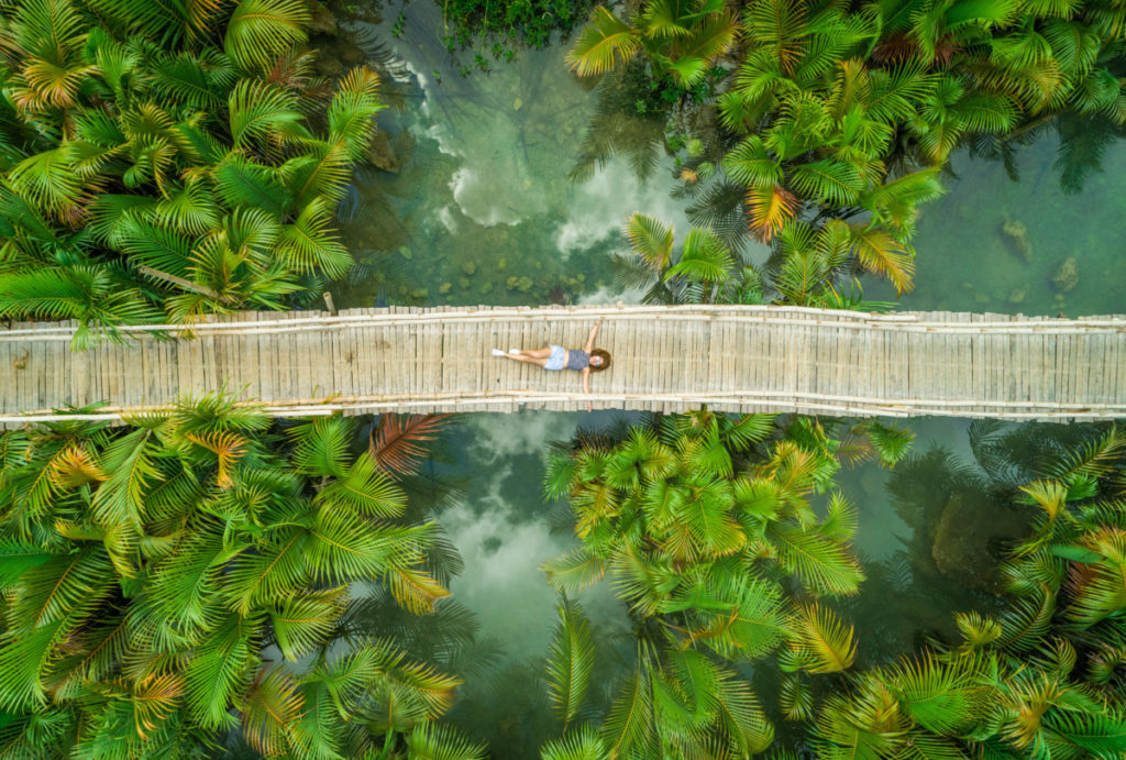 bridge, park, palms, palm trees, jungle, relax, meditate, Model Release, Modelfreigabe, bird's eye view, aerial image, drone photography, royalty free