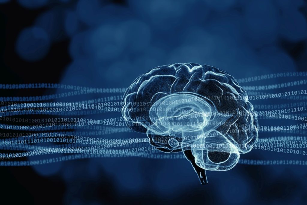 Gehirn KI-Datasets künstliche intelligenz lizenzfrei foto illustration panthermedia