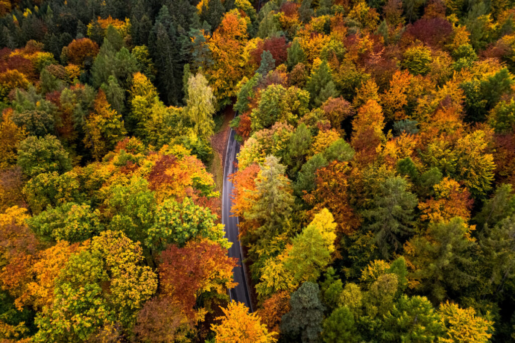 Aerial view street colourful forest autumn hesse germany autumn colours stock photos royalty free panthermedia