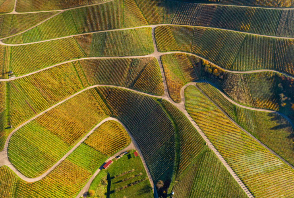 Aerial view Vineyards Black Forest Germany autumn colours stock photos royalty free panthermedia